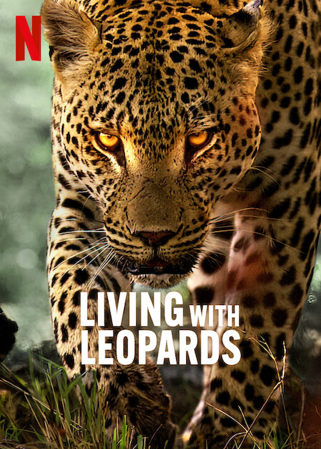 مشاهدة فيلم Living with Leopards 2024 مترجم اون لاين حصري
